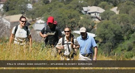 Alpine View Apartments - Accommodation Redcliffe 3