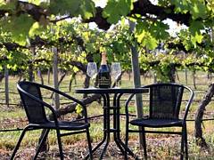 De Vine Escape - Accommodation Redcliffe 2
