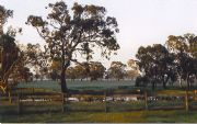 Ardwick Homestead - Accommodation Redcliffe 1