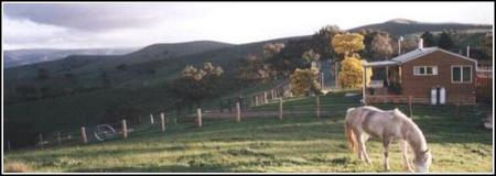 Idlewild Park Farm Accommodation - Accommodation Redcliffe 1