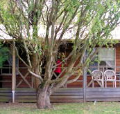 BIG4 Ballarat Windmill Holiday Park - Accommodation Redcliffe