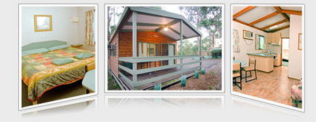 A Maze N Things Holiday Park - Accommodation Redcliffe 5
