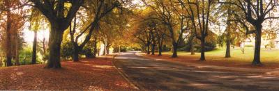 La Trobe At Beechworth - Accommodation Redcliffe 0