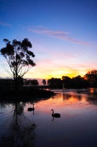 WorldMark Resort Ballarat - Accommodation Redcliffe 5