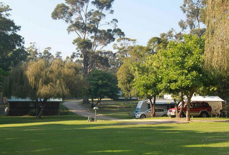 A Wangralea Caravan Park - Accommodation Redcliffe 3