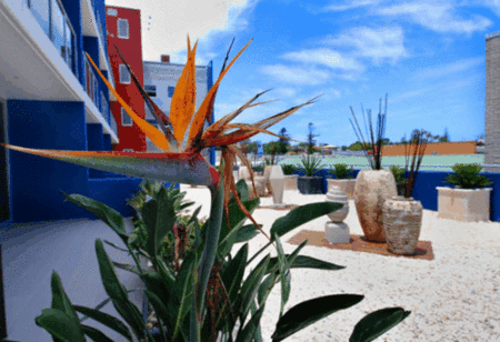 Mantra Quayside - Accommodation Redcliffe 4