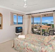 Allez Pacific Rose - Accommodation Redcliffe