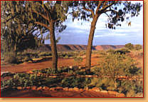 Kings Creek Station - Accommodation Redcliffe 1