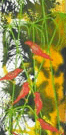 Jahroc Mill Gallery - Accommodation Redcliffe 3