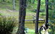 Gain Life Healing Health Retreat - thumb 2