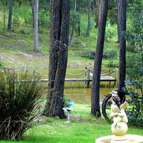 Gain Life Healing Health Retreat - Accommodation Redcliffe 2