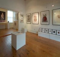 Bird's Gallery - Accommodation Redcliffe