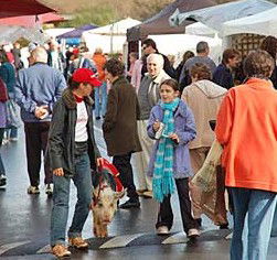 Arts Nunawading Inc - Accommodation Redcliffe 0