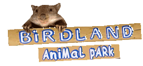 Birdland Animal Park - Accommodation Redcliffe 0