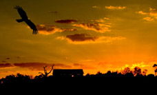 Werribee Open Range Zoo - Accommodation Redcliffe 1