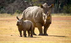 Werribee Open Range Zoo - Accommodation Redcliffe 3