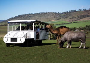 Zoo Doo Wildlife Park - Accommodation Redcliffe 2