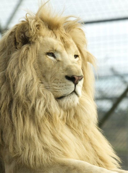 Zoo Doo Wildlife Park - Accommodation Redcliffe 3