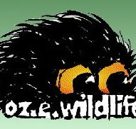 OZe Wildlife - Accommodation Redcliffe