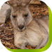  Accommodation Redcliffe