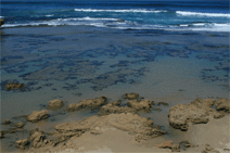 Canberra Contemporary Art Space - Accommodation Redcliffe 0