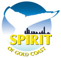 Spirit of Gold Coast Whale Watching - Accommodation Redcliffe