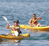 Manly Kayaks - Accommodation Redcliffe
