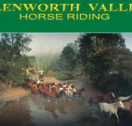 Glenworth Valley Horseriding - Accommodation Redcliffe