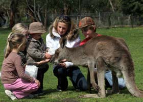 Gumbuya Park - Accommodation Redcliffe 1