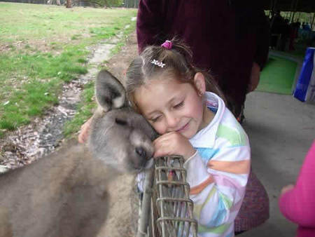 Gumbuya Park - Accommodation Redcliffe 3