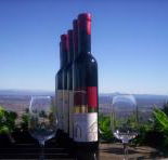 Mount Tamborine Winery  Homestead - Accommodation Redcliffe