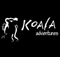 Koala Adventures - Accommodation Redcliffe