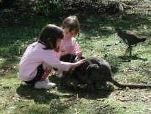 Urimbirra Wildlife Park - Accommodation Redcliffe 1