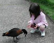 Urimbirra Wildlife Park - Accommodation Redcliffe 3