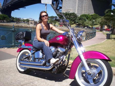 A Wild Ride - Accommodation Redcliffe 2