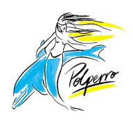 Polperro Dolphin Swims - Accommodation Redcliffe 0