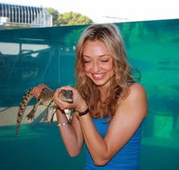 Crocosaurus Cove - Accommodation Redcliffe
