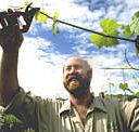 Barossa Experience Tours - Accommodation Redcliffe