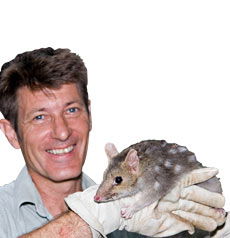 Geckoes Wildlife Presentations - Accommodation Redcliffe 0