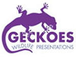 Geckoes Wildlife Presentations - Accommodation Redcliffe 3