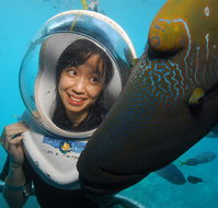 Sunlover Reef Cruises - Accommodation Redcliffe