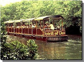 Daintree Rainforest River Trains - Accommodation Redcliffe 0