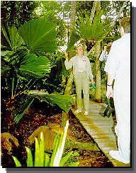 Daintree Rainforest River Trains - Accommodation Redcliffe 1