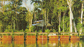 Daintree Rainforest River Trains - Accommodation Redcliffe 3