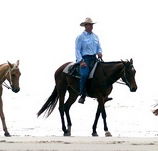 Ride the Beach - Accommodation Redcliffe