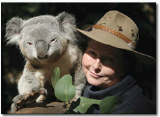 Koala Park Sanctuary - Accommodation Redcliffe 2