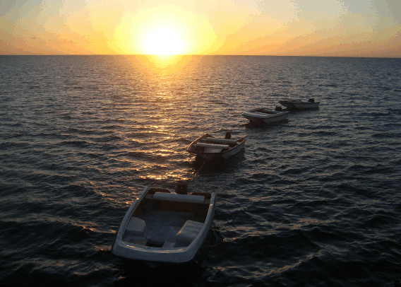 Carlo Fishing Charters - Accommodation Redcliffe 2