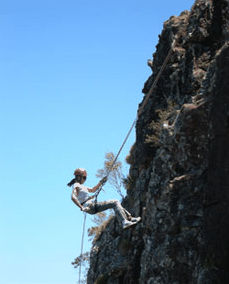 Adventures Around Brisbane - Accommodation Redcliffe 1