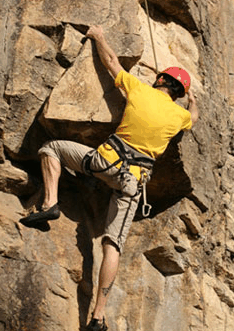 Adventures Around Brisbane - Accommodation Redcliffe 3