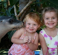Dolphin Marine Magic - Accommodation Redcliffe